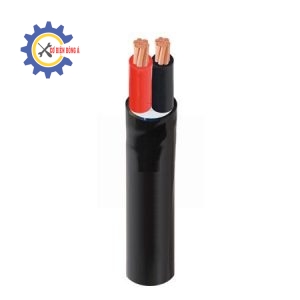 Dây cáp điện 2 lõi Cadivi CVV-2×4 – 300-500V