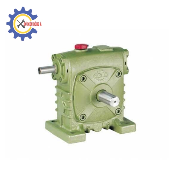 Motor Wanshsin WPA-60-1/50